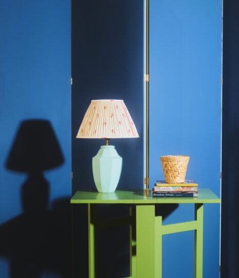 St. Leo Bio Paint sininen mattapinta